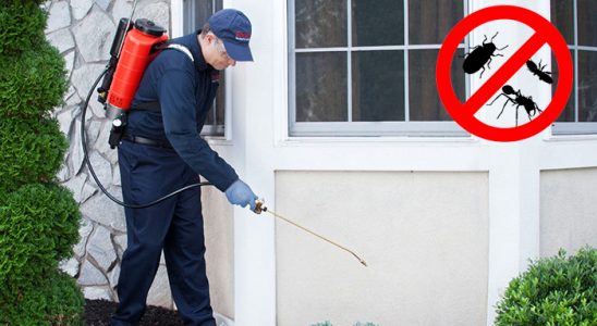 Gürgentepe Fare İlaçlama böcek ilaçlama ve haşere kontrolü — ilaclama-tr.com